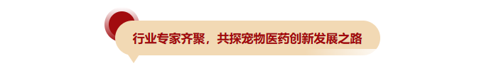12.png